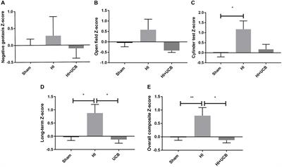 Human Umbilical Cord Therapy Improves Long-Term Behavioral Outcomes Following Neonatal Hypoxic Ischemic Brain Injury